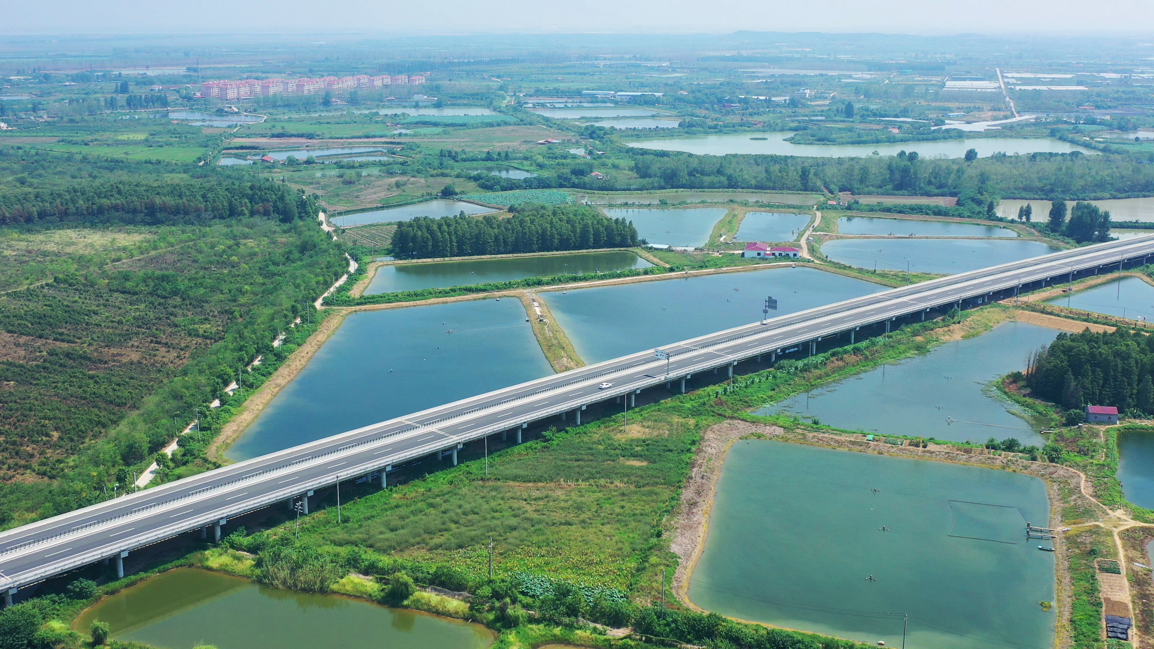 武漢硚口至孝感高速公路（湖北省市政示范工程金獎(jiǎng)）.jpg